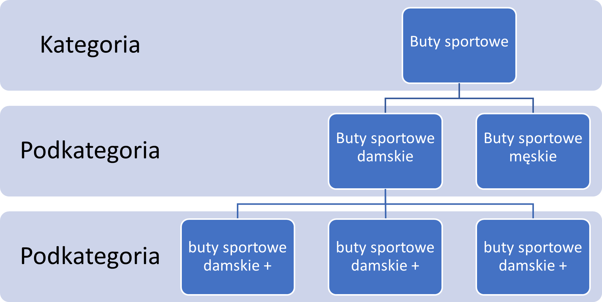 struktura kategorii